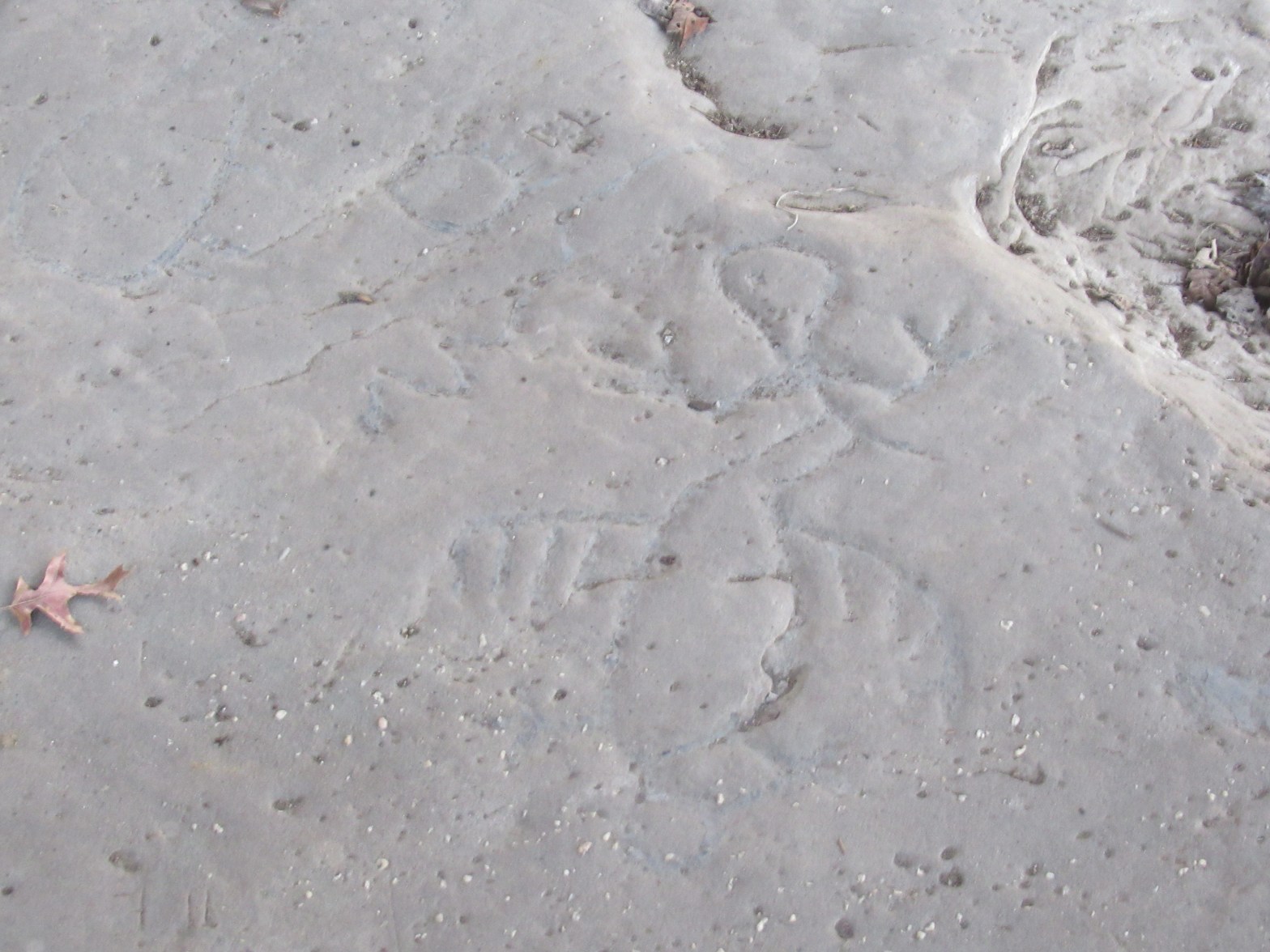20210320 – Leo Petroglyphs and Nature Preserve
