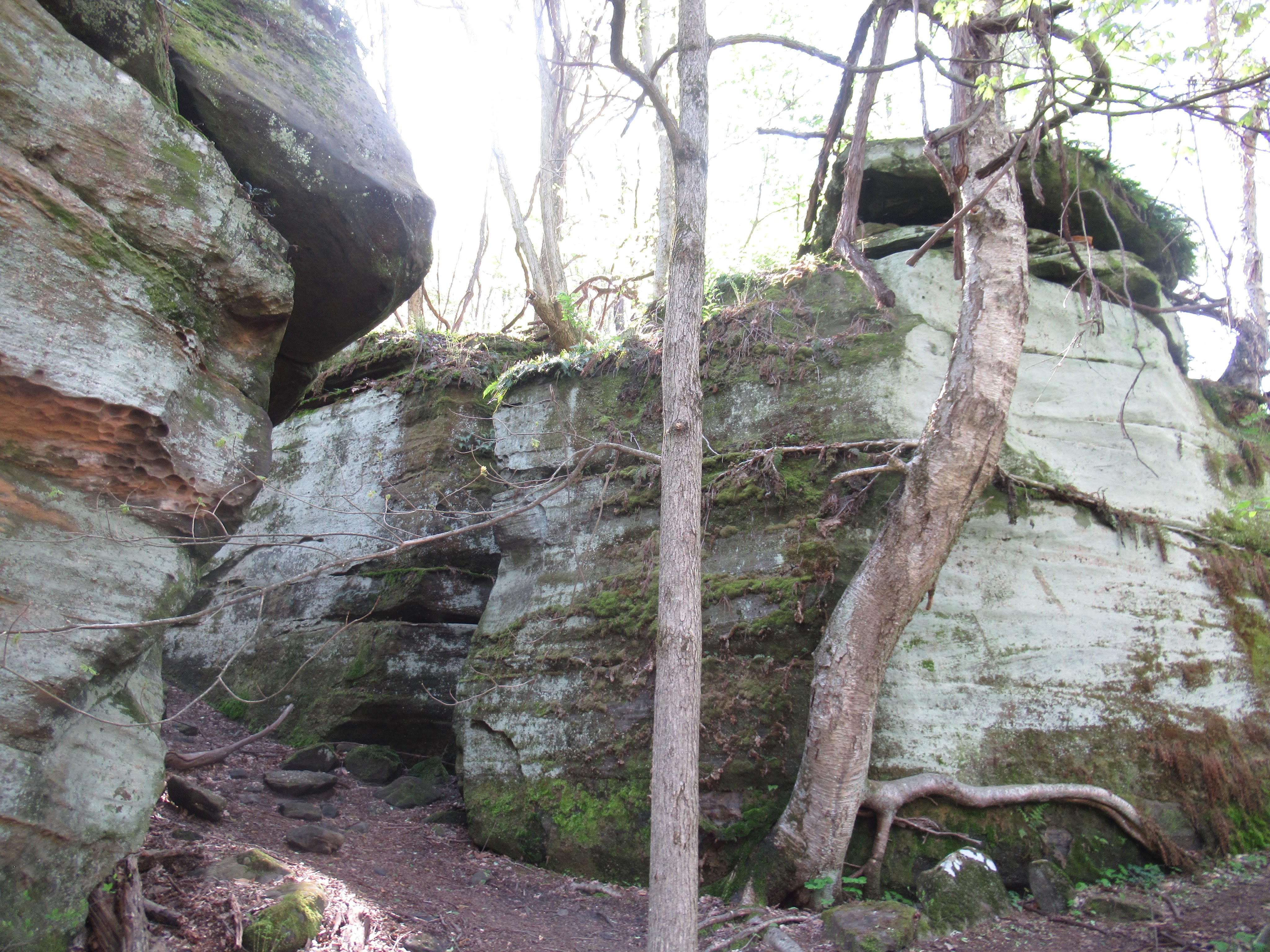 20210501 – Liberty Park – Twinsburg Ledges Area