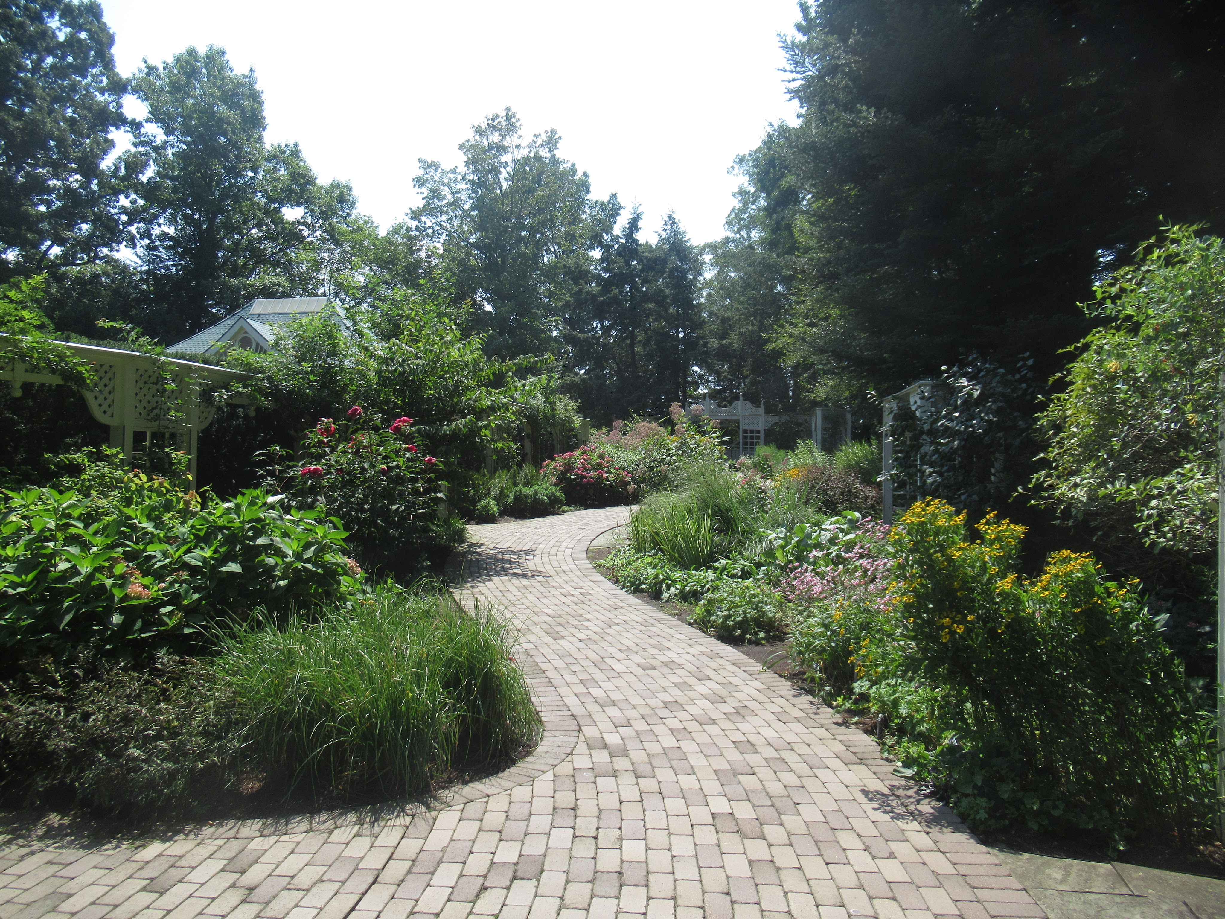 20210822 – Mill Creek Metropark – Fellows Riverside Gardens
