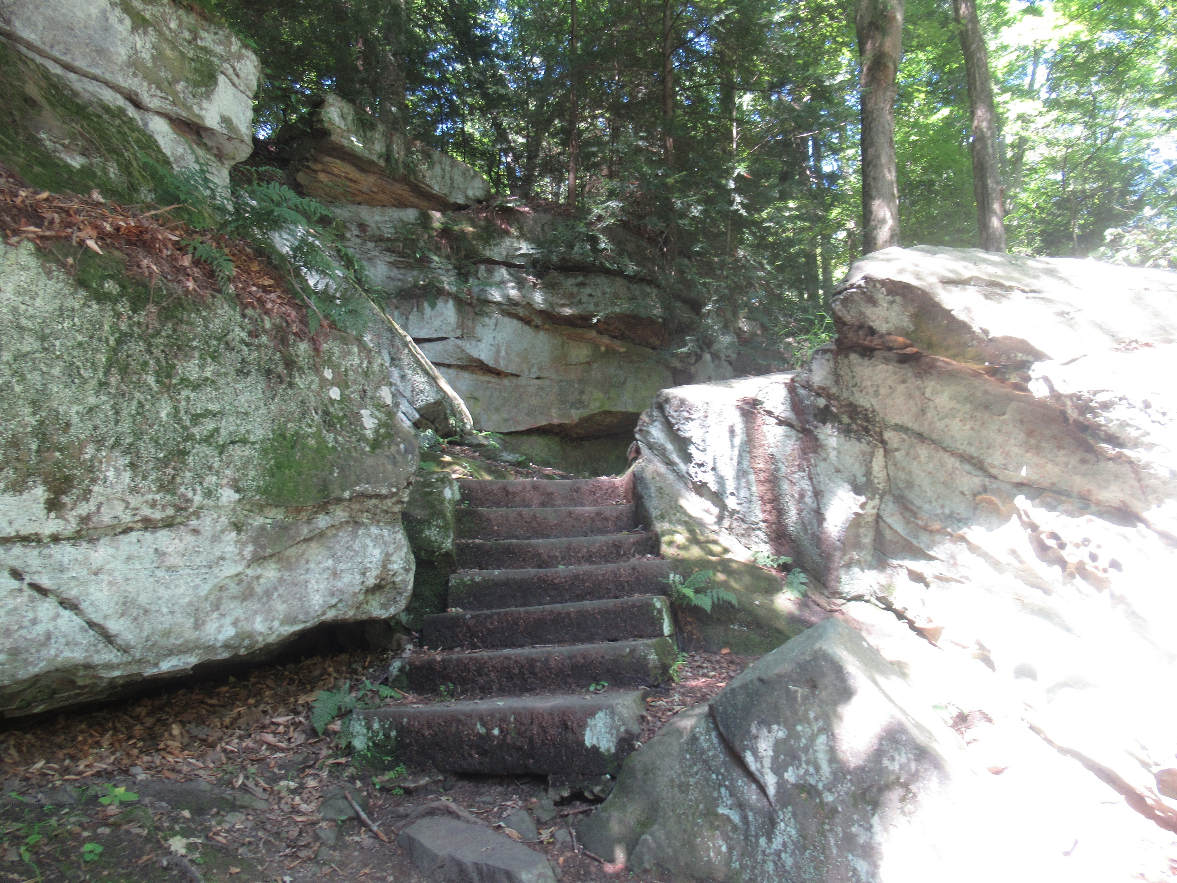 20210904 – Mill Creek Metropark