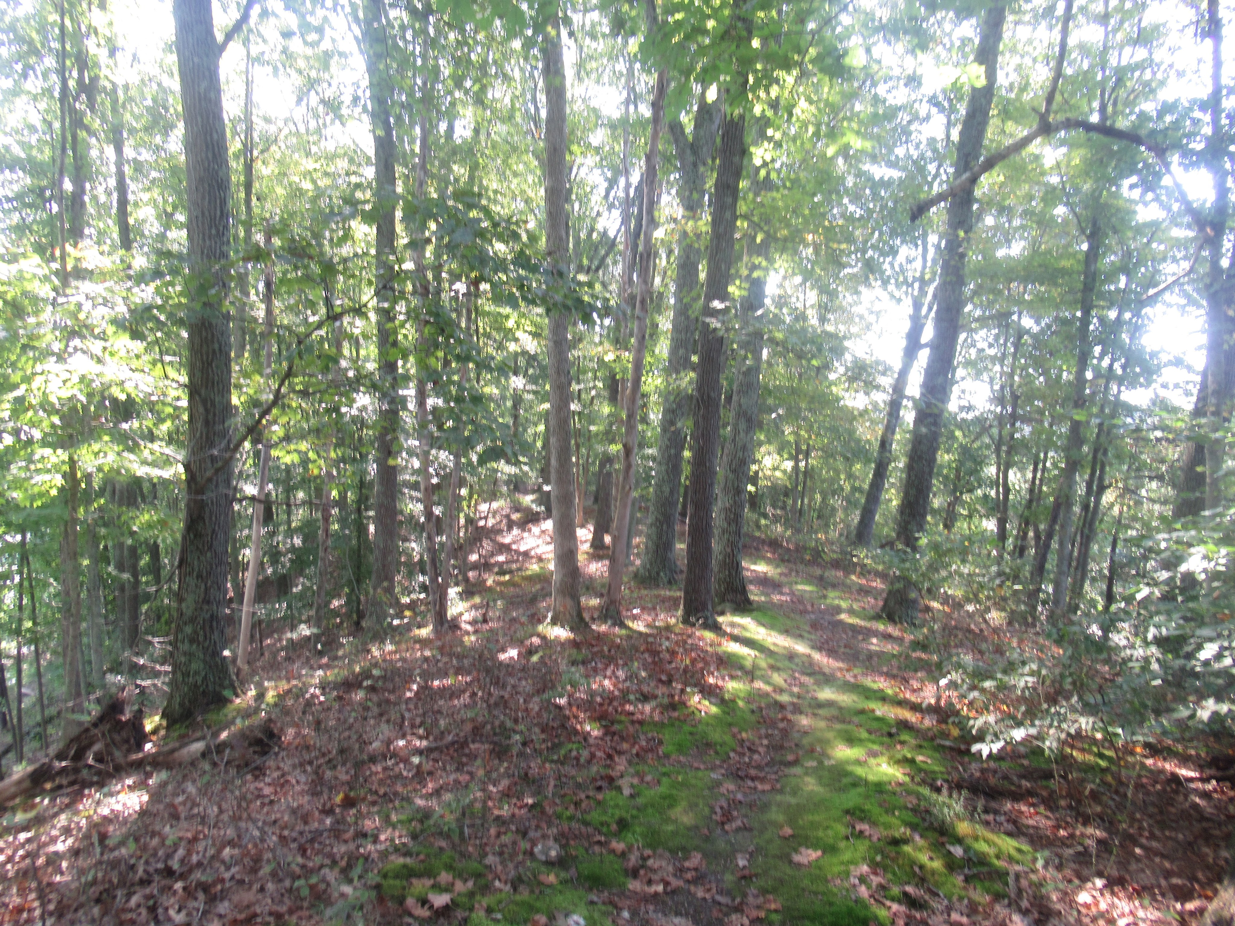 20210918 – Lake Alma State Park – Trails