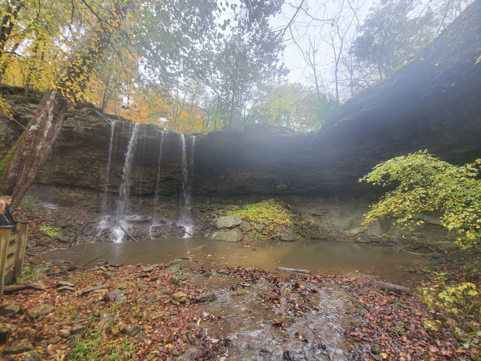 20211030 – Charleston Falls Preserve