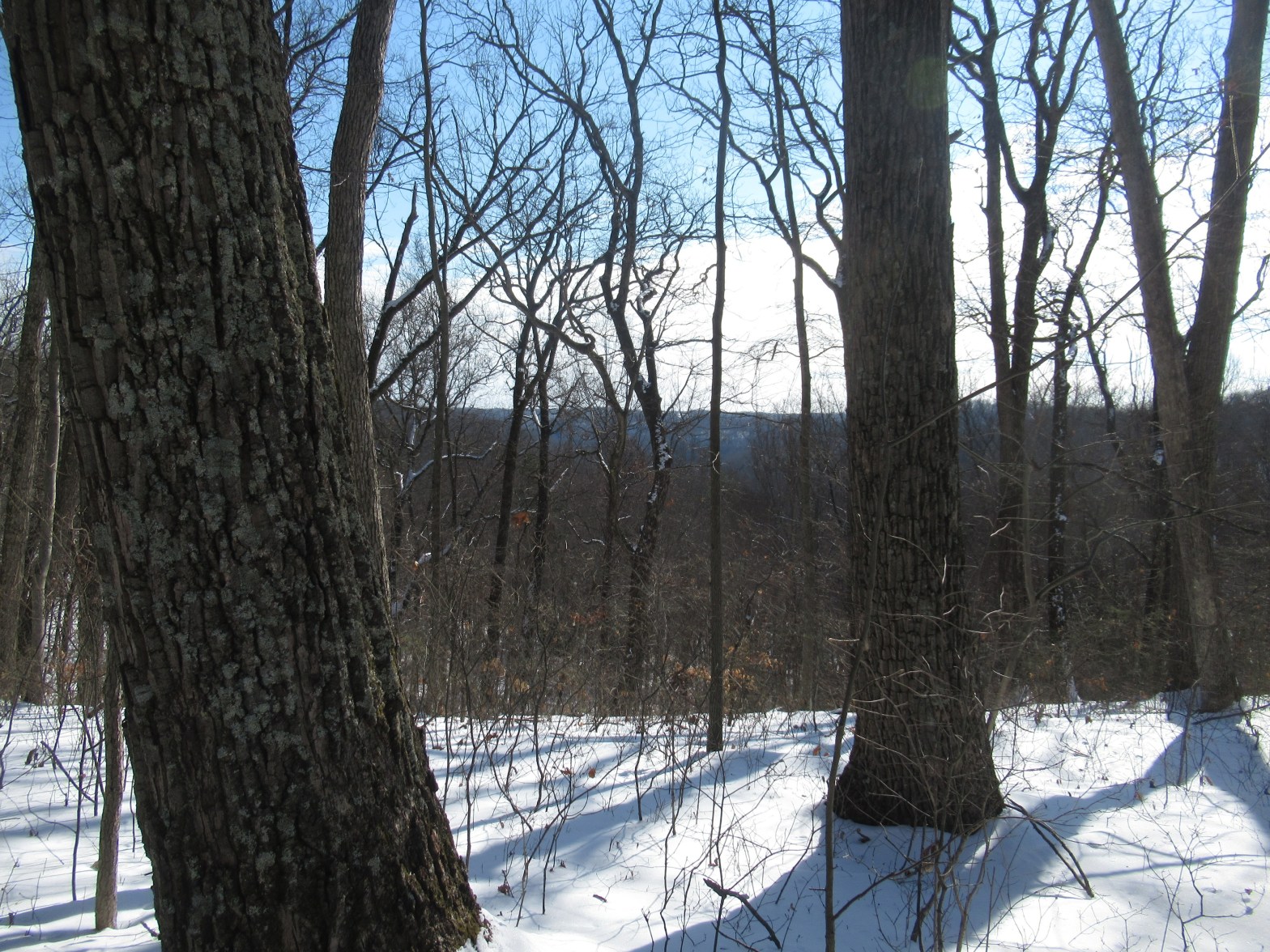 20220130 – Clear Creek Metro Park