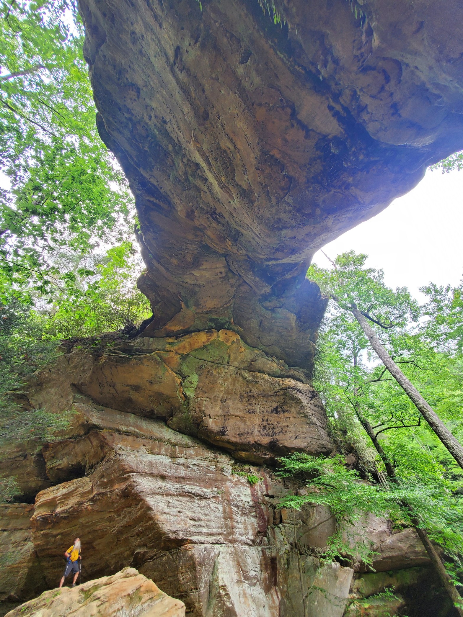 20220528 – Red River Gorge Geological Area KY – Grey’s Arch-Hanson’s Point Loop