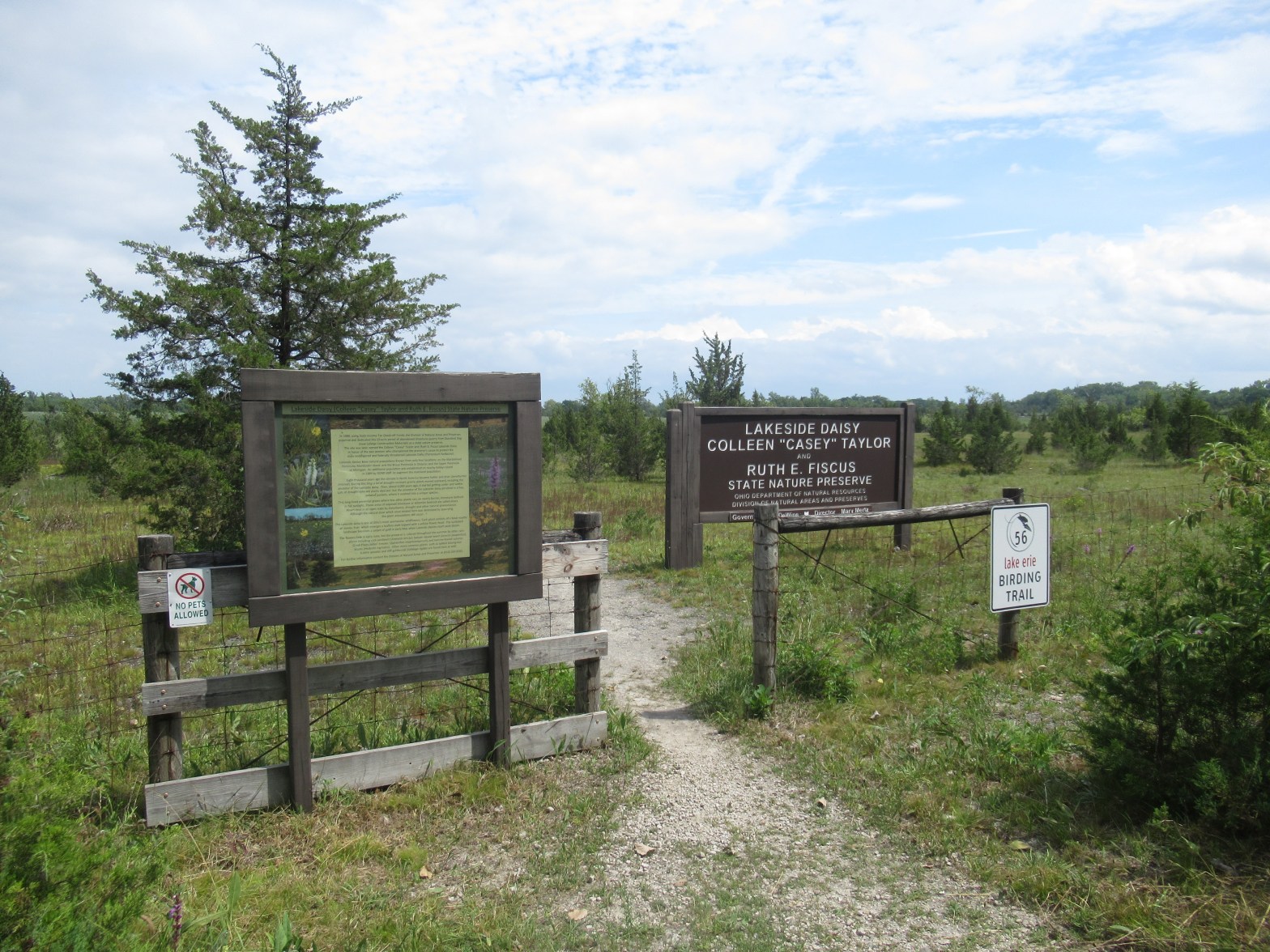 20220801 – Lakeside Daisy State Nature Preserve