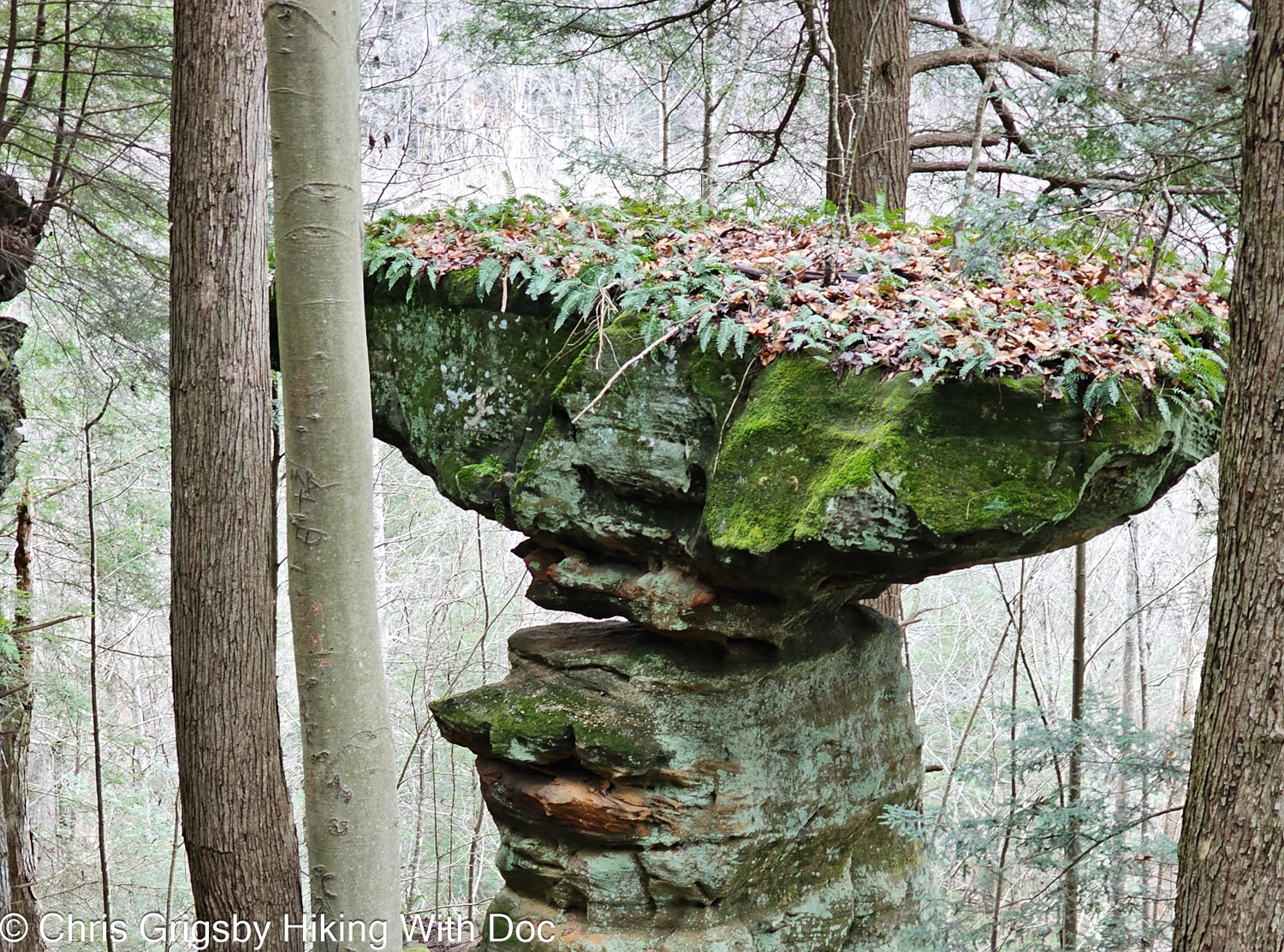 Hocking State Forest